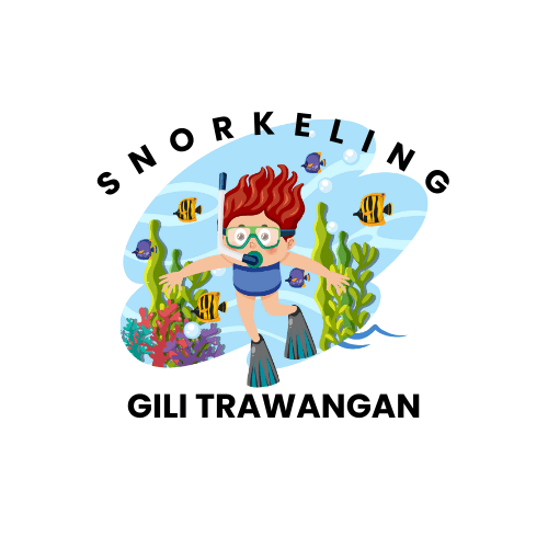 Snorkeling-Gili-Trawangan